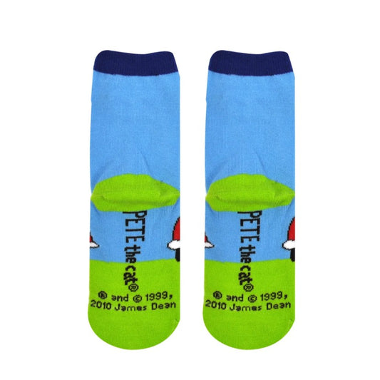 Pair of socks with a blue and green design and the words "Pete the Cat" on the bottoms