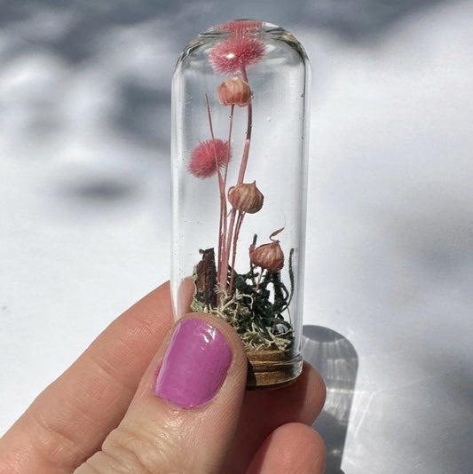 A miniature glass terrarium with several delicate pink flowers inside and moss at the bottom.