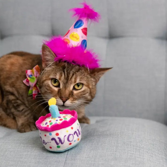 Pink, white and polka dotted cat toy shaped like a birthday cake
