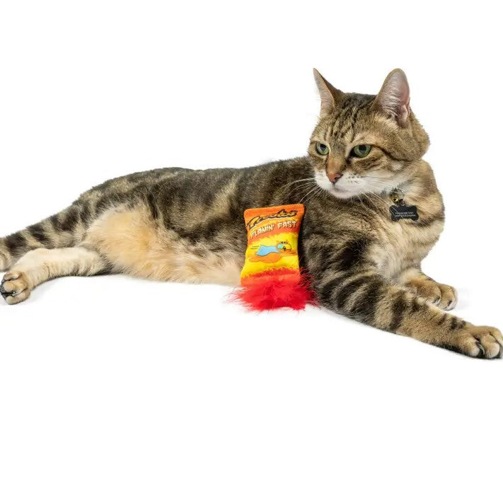 Catnip toy shaped like a bag of Cheetos with a red feather on the end