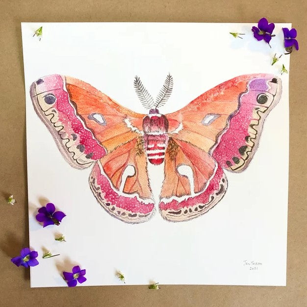 Mini Watercolor Moth Art Print
