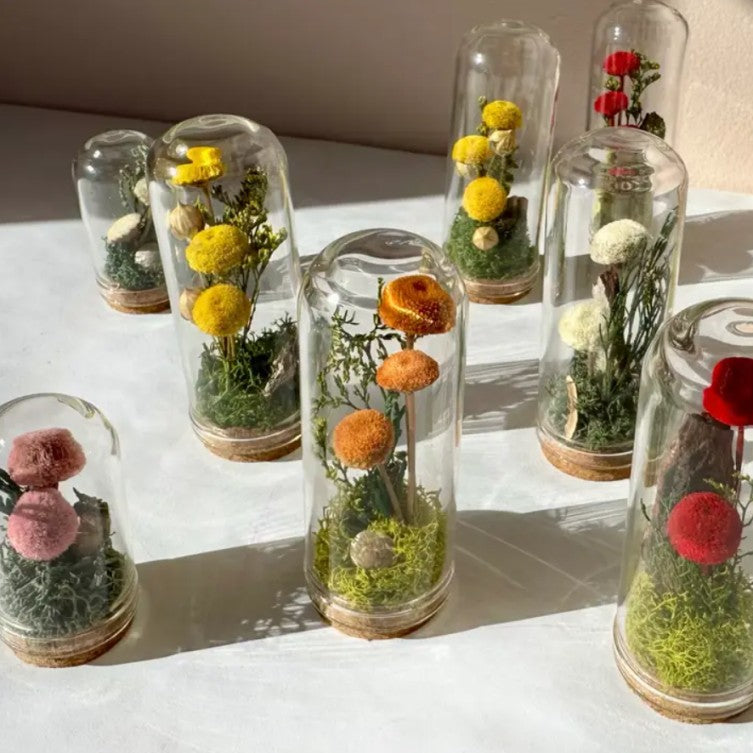 Small miniature terrariums with colorful flowers and moss inside