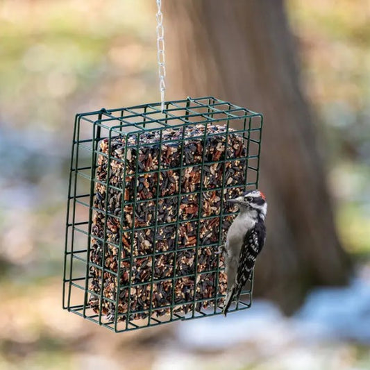 A green rectangular birdfeeder with a nut cake inside.