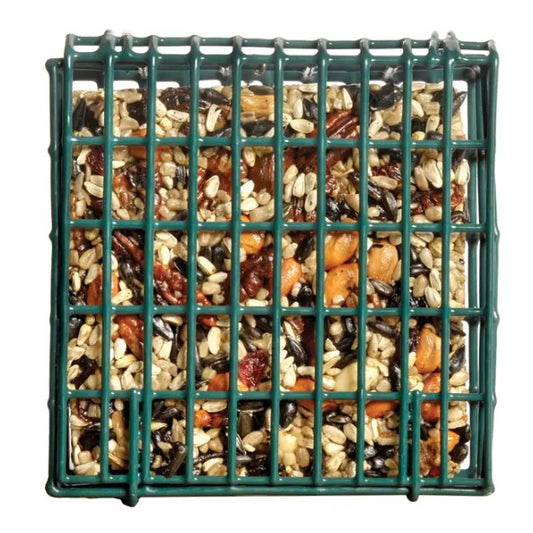 A green rectangular birdfeeder with a nut cake inside.