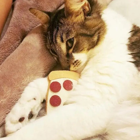 Organic catnip felt toy shaped like a slice of pizza