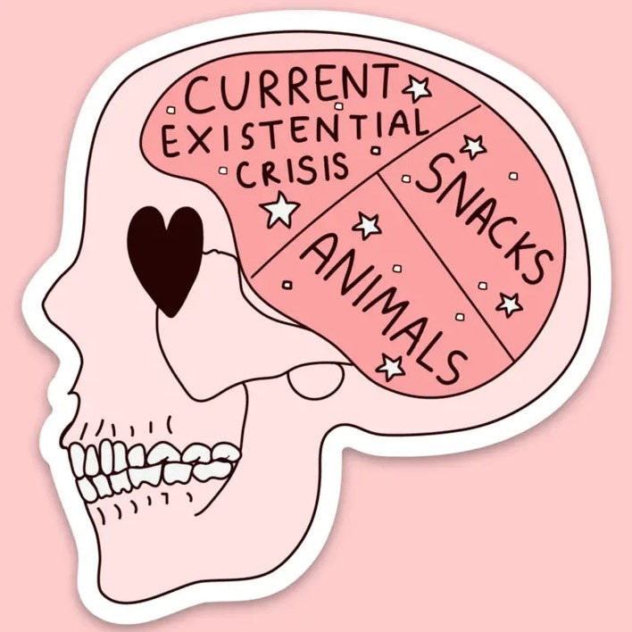 Pink sticker depicting a cartoon skull with its brain divided into the categories  "current existential crisis," "snacks" and "animals"