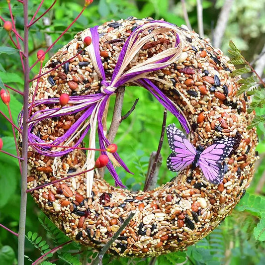 A wreath shaped birdfeeder made of nuts and seeds with a purple butterfly decal.