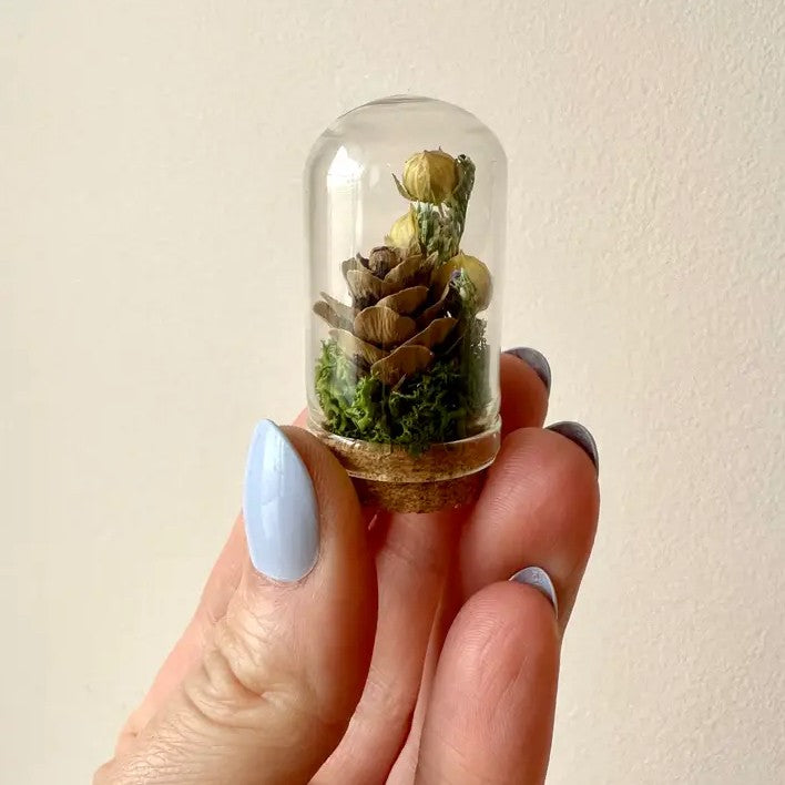 Person holding a tiny glass terrarium with white flowers, moss and a miniature pinecone inside