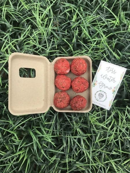 almas and co open box of garden seed bombs laid on grass