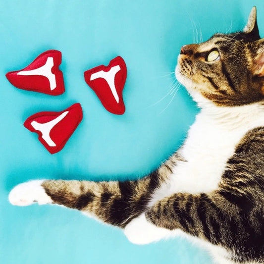 Cat laying down next to three steak catnip toys made from felt