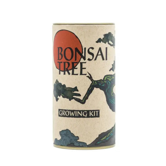 Tube shaped bonsai tree growing kit with an artistic tree illustration on the packaging