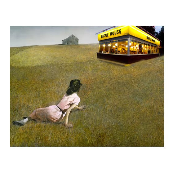 Photo composite art print depicting a woman in a pink dress in a field of grass reaching toward a nearby Waffle House restaurant