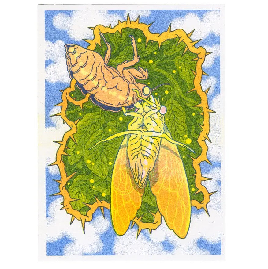 Cicada 5x7 Print