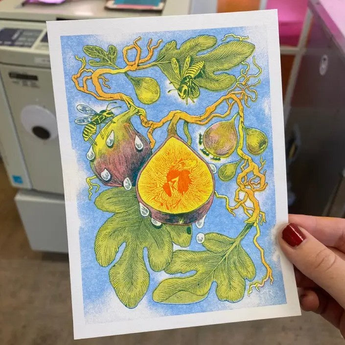 Fig Wasp Riso Print 5x7