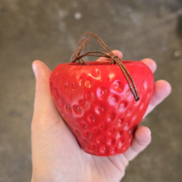 A small hanging planter shaped like a strawberry; it fits in the palm of a hand.