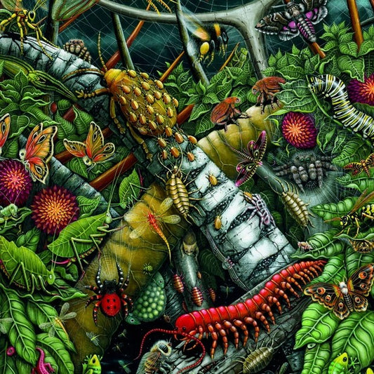 Illustration of many different species of insects on a leafy background