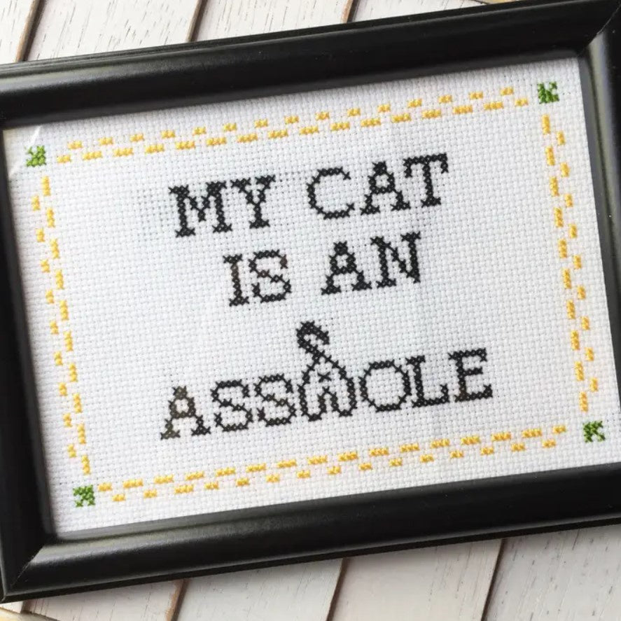 Framed cross stitch piece that reads "My cat is an asshole" in black thread with a yellow stitched border