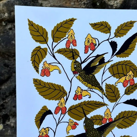 Illustration of a hummingbird drinking from a jewelweed