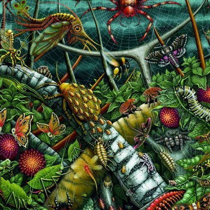 A closeup of several of the bugs depicted in the puzzle including a monarch caterpillar, a large spider and many colorful moths.