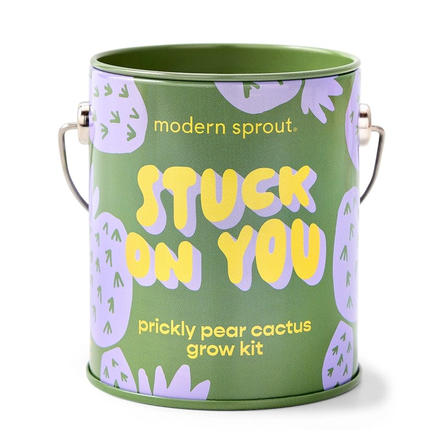 Prickly pear cactus grow kit in a dark green tin with a light purple cactus pattern