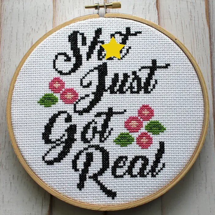 White cross stitch hoop with the words 
"shit just got real" stitched in black and decorated with small pink flowers