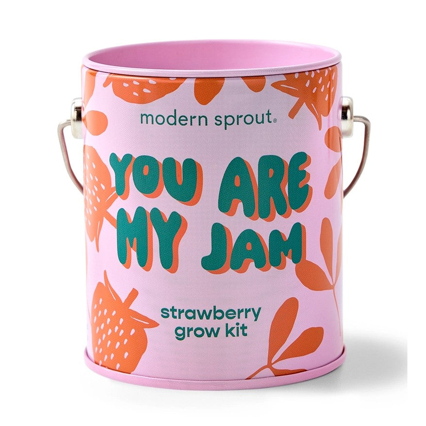 Strawberry grow kit in a pink tin can with red strawberry pattern