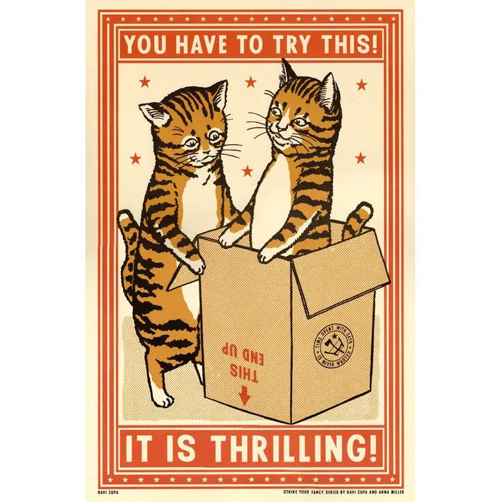Vintage style print featuring two cats and a cardboard box and the caption "You have to try this! It is thrilling!"
